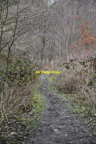 Photo 6"x4" Tunbridge Wells Circular Walk Birchden c2021