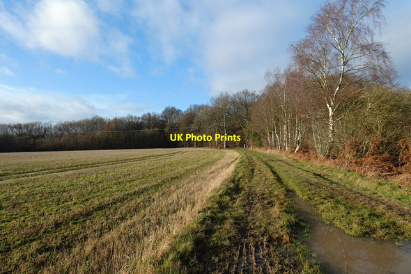 Photo 6"x4" Farmland, Ellesborough Buckmoorend c2022