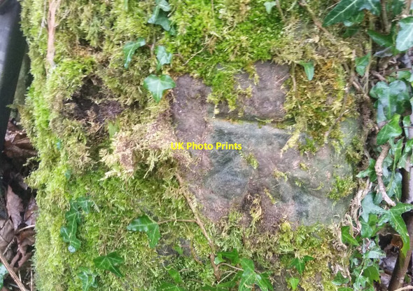 Photo 6"x4" Ordnance Survey Cut Mark Meidrim c2022