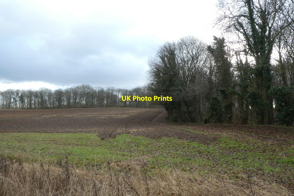 Photo 6"x4" Field beside Claypit Lane Ledsham\/SE4529 c2022