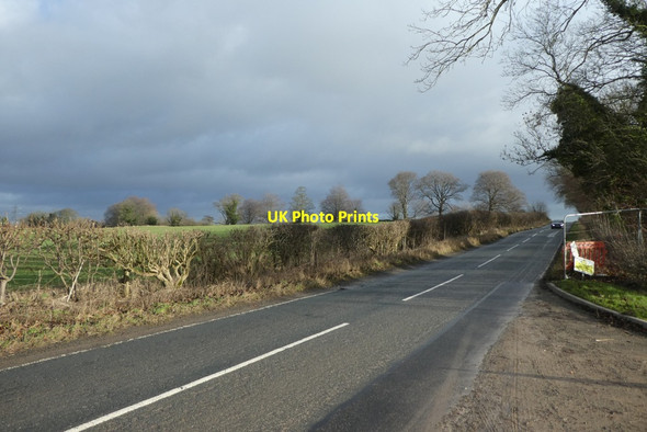 Photo 6"x4" Along Back Newton Lane Ledston c2022