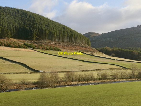 Photo 6"x4" Tweeddale near Polmood Kingledores c2022
