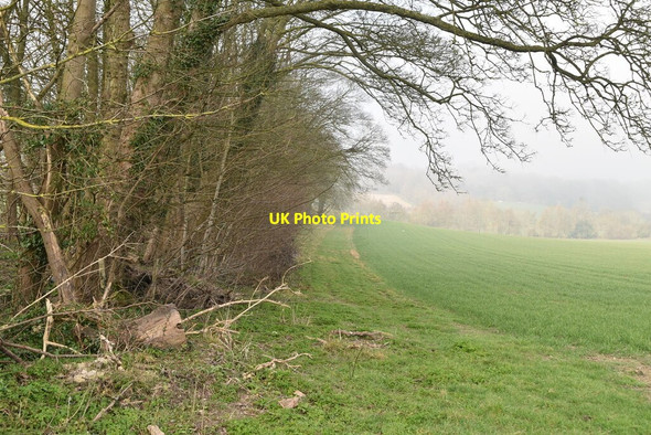 Photo 6"x4" Hedgeline by Pilgrims' Way Chevening c2021