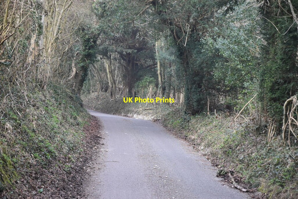 Photo 6"x4" Sundridge Hill Chevening c2021 P4