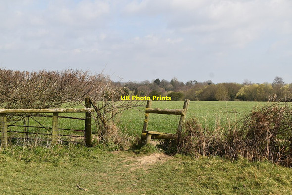 Photo 6"x4" Joining the Sussex Border Path Seacox Heath c2021