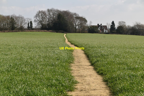 Photo 6"x4" Sussex Border Path High Street\/TQ7430 c2021