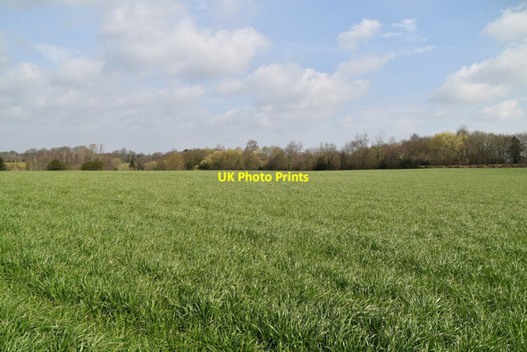 Photo 6"x4" Pastureland by Sussex Border Path High Street\/TQ7430 c2021