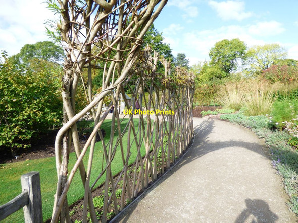 Photo 6"x4" Path into the Kitchen Garden Harrogate c2016
