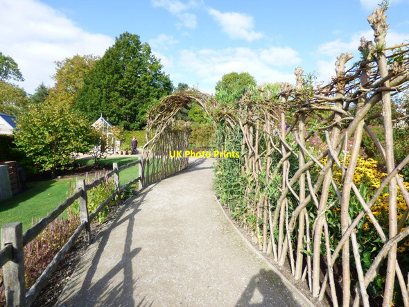 Photo 6"x4" Path by the Kitchen garden Harrogate c2016