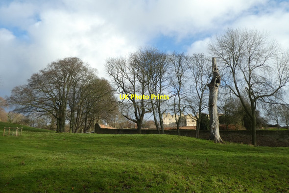 Photo 6"x4" Land below Ledston Hall Ledston c2022