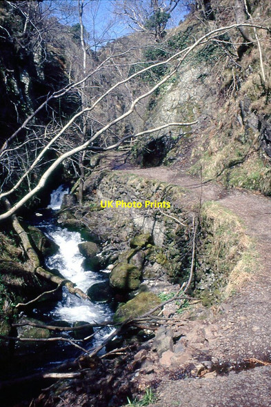 Photo 6"x4" Mill Glen, Tillicoultry Tillicoultry c1987