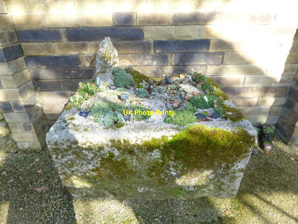 Photo 6"x4" Stone trough Harrogate c2016