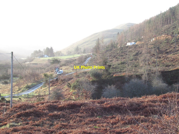 Photo 6"x4" The road up the College Valley Whitehall\/NT8826 c2022