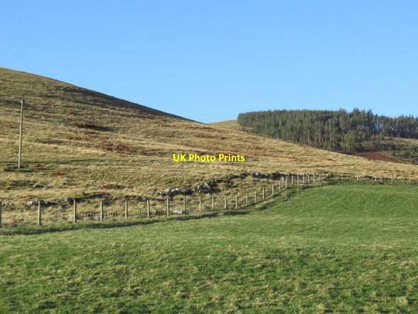 Photo 6"x4" Foot of Blackhaggs Rigg Loft Hill\/NT8725 c2022