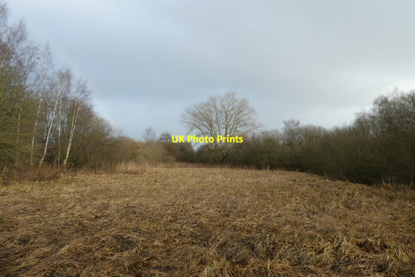 Photo 6"x4" Fairburn Ings New Fryston c2022
