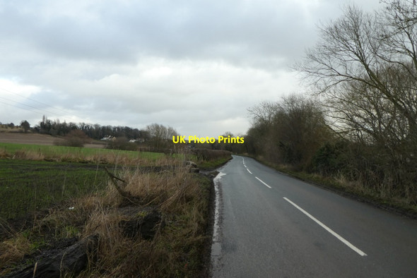 Photo 6"x4" Along Newton Lane Fairburn c2022