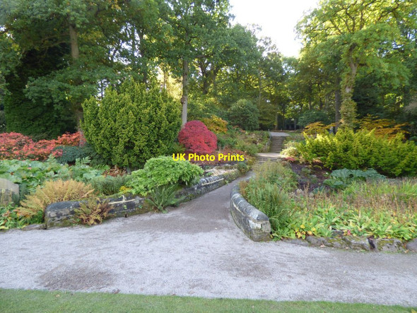 Photo 6"x4" Bridge over the beck Harlow Carr c2016