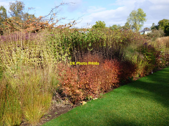 Photo 6"x4" Autumnal colours in the flower bed Harlow Carr c2016