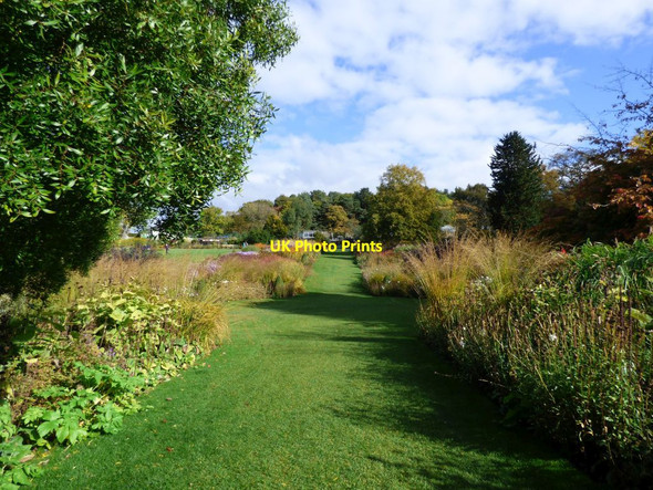 Photo 6"x4" Grass path through the borders Harlow Carr c2016