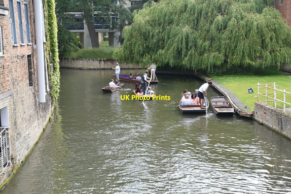 Photo 6"x4" Punting on the Cam Cambridge\/TL4658 c2021