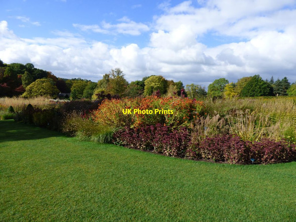 Photo 6"x4" Herbaceous border at Harlow Carr Harlow Carr c2016
