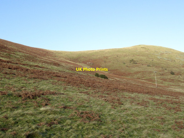 Photo 6"x4" East side of Blackhaggs Rigg College Burn c2022
