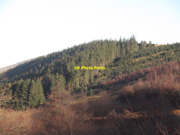 Photo 6"x4" Fawcett Shank Mounthooly\/NT8822 c2022