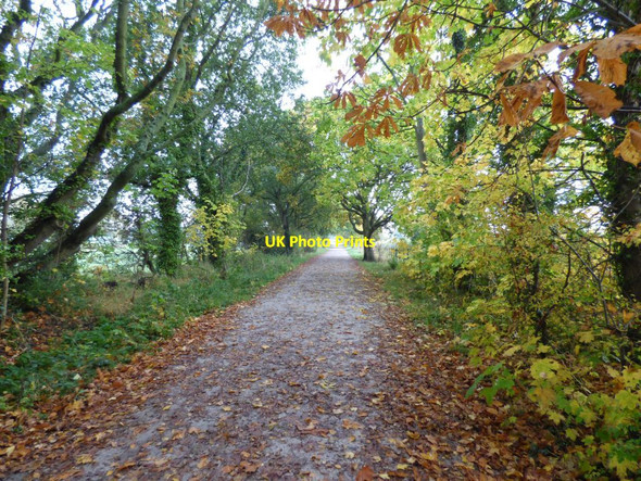 Photo 6"x4" Part of the Wirral Country Park path Neston\/SJ2877 c2016