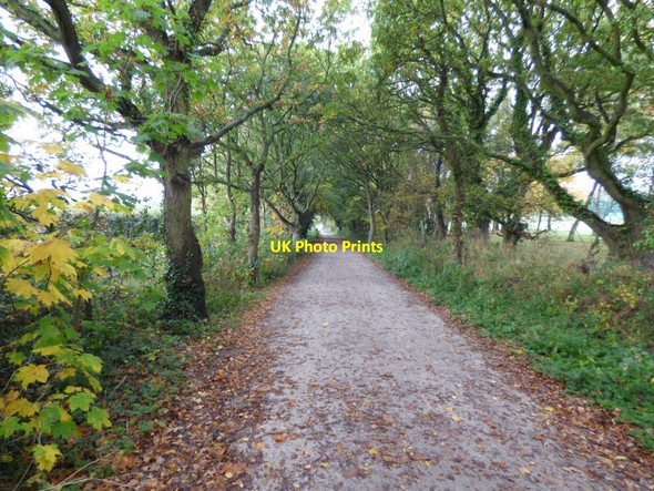 Photo 6"x4" Part of the Wirral Country Park path Neston\/SJ2877 c2016 P1