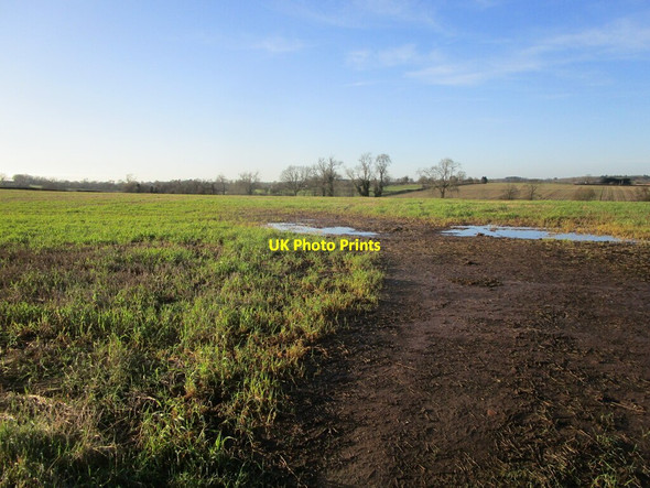 Photo 6"x4" Field off Grace Dieu Lane Belton\/SK4420 c2022