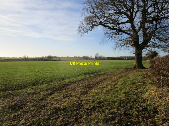 Photo 6"x4" Autumn sown crop near Top Merril Grange Belton\/SK4420 c2022