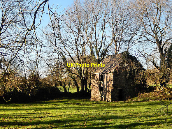 Photo 6"x4" Ruined Building Kilmaganny c2022