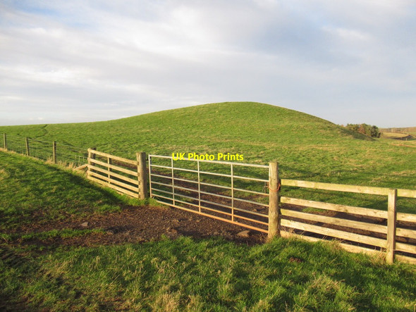 Photo 6"x4" Kippiehill Near East Learmonth Coldstream\/NT8439 c2022