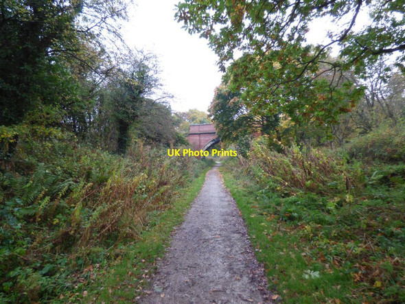 Photo 6"x4" Bridge over the Wirral Way Neston\/SJ2877 c2016