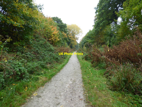 Photo 6"x4" The Wirral Way Neston\/SJ2877 c2016