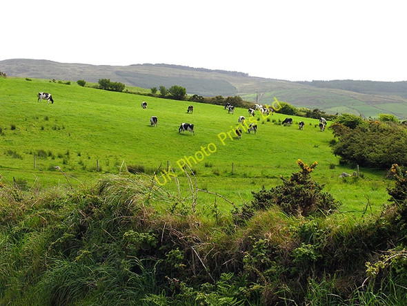 Photo 6"x4" Pasture near Bantry Bantry c2005
