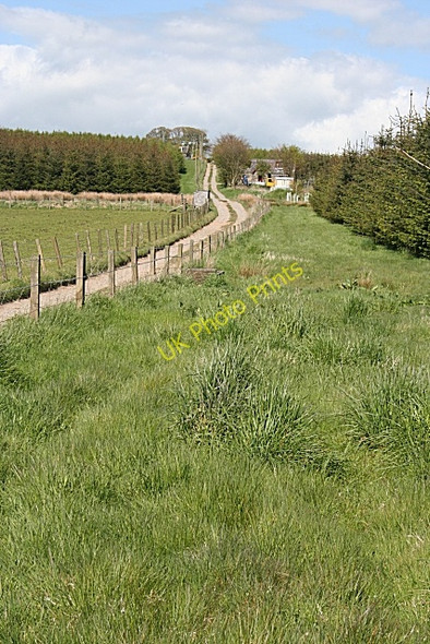 Photo 6"x4" Road to Hillbrae Arthrath c2009