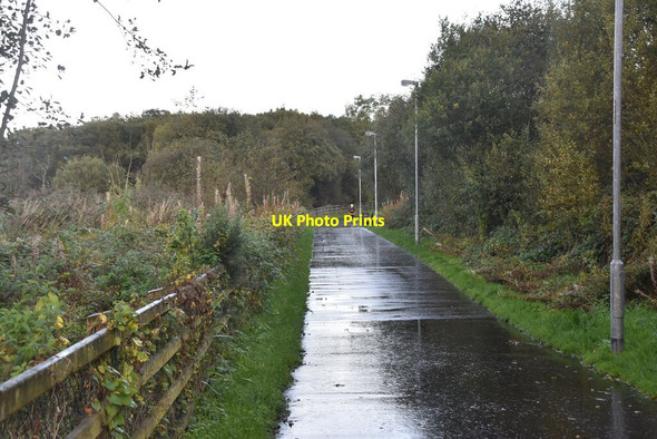 Photo 6"x4" Waterside Greenway Londonderry\/C4316 c2021