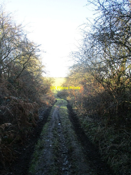 Photo 6"x4" A glimpse of fields beyond the end of Stinting Lane Mansfield Woodhouse c2022