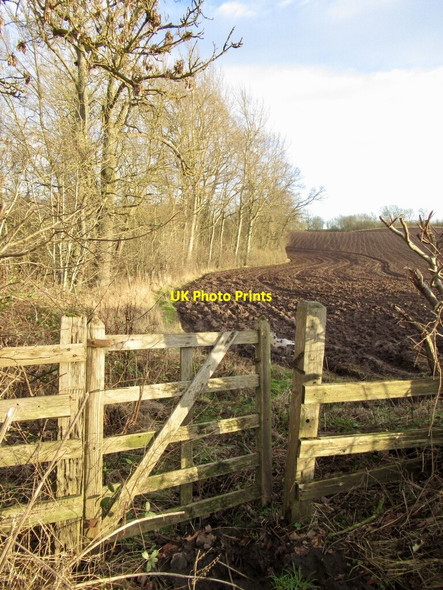 Photo 6"x4" Ploughed field, Cornhill on Tweed Coldstream\/NT8439 c2022