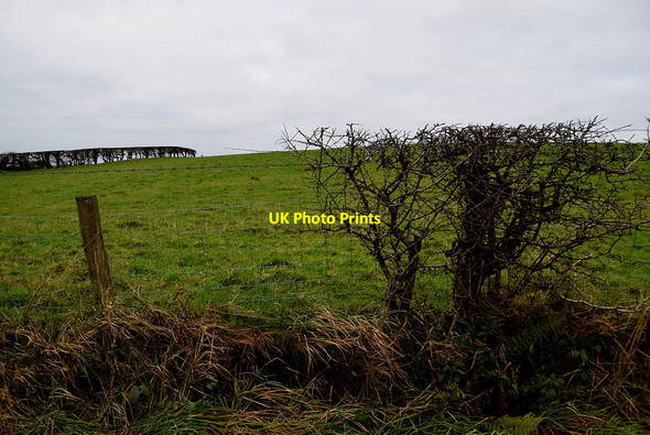Photo 6"x4" Kiltamnagh Townland Fintona c2022