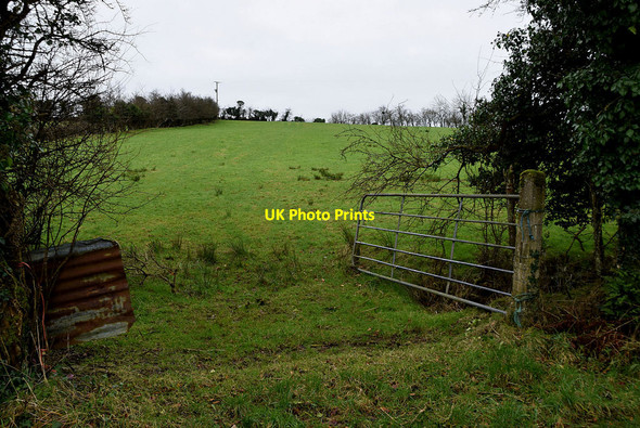 Photo 6"x4" An open field, Mullanboy Fintona c2022