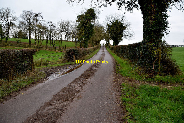 Photo 6"x4" Minor road, Killymoonan Fintona c2022 P1
