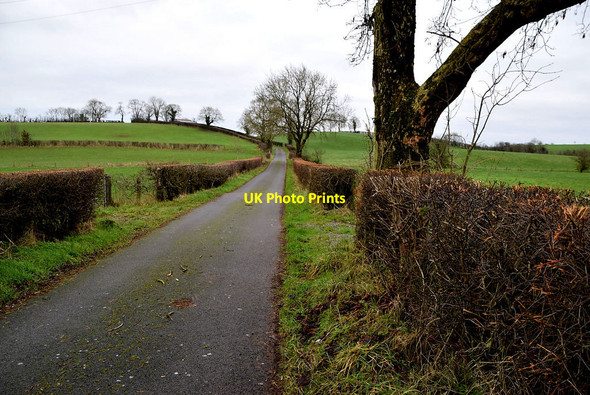 Photo 6"x4" Neatly trimmed hedges Fintona c2022