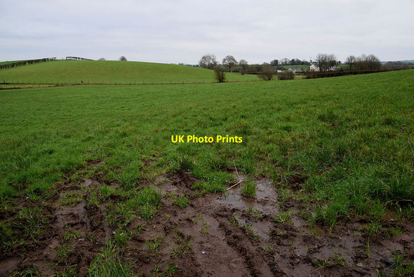 Photo 6"x4" A muddy field, Kiltamnagh Fintona c2022