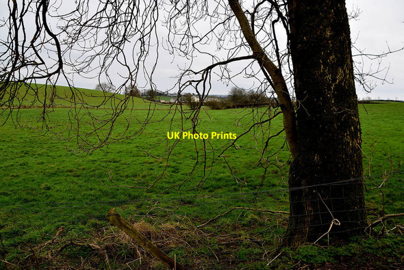 Photo 6"x4" Tree and countryside, Kiltamnagh Fintona c2022