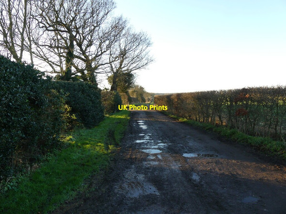 Photo 6"x4" Muddy Restricted Byway Frogshall c2022