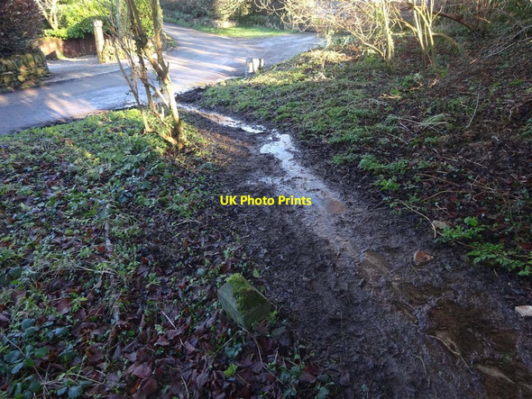 Photo 6"x4" Boundary Stone, Shortwood, Nailsworth Nailsworth c2022 P1