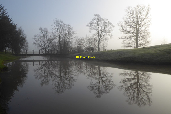 Photo 6"x4" Trees in Croome Park Dunstall Common c2022