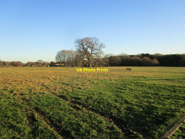 Photo 6"x4" Berry Hill Park Mansfield\/SK5361 c2022